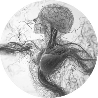 FAVORECE-CIRCULACION https://xn--policlnicaveca-5lb.es/wp-content/uploads/2026/02/FAVORECE-CIRCULACION-320x320.png